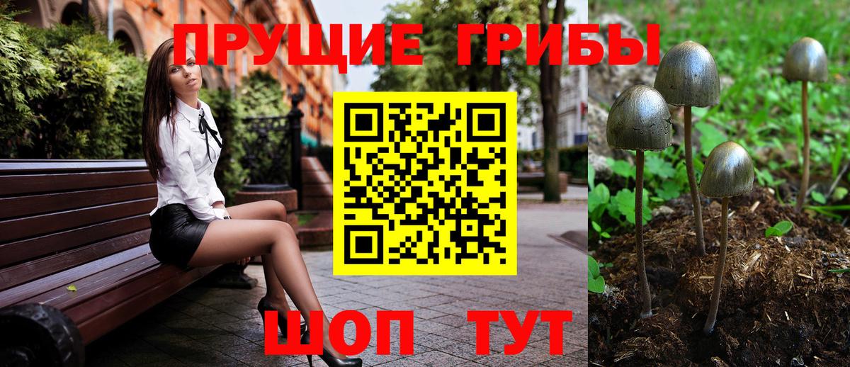 Галлюциногенные грибы мицелий Белово