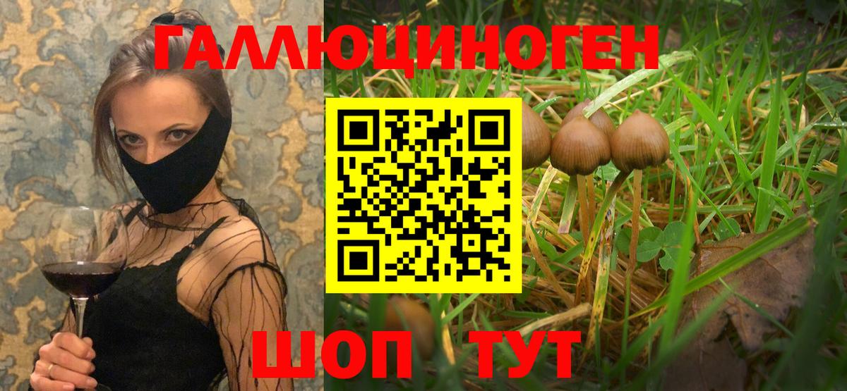 Галлюциногенные грибы GOLDEN TEACHER  Псилоцибиновые грибы мицелий  Вход с VPN  Белово 