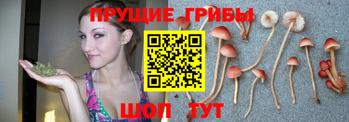 Псилоцибиновые грибы Magic Shrooms Белово